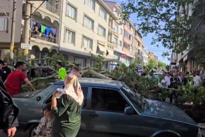 Bursa’da feci olay! Devrilen ağacın altında kalan motosikletli yaşam savaşı veriyor