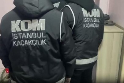 İstanbul merkezli sahte fatura operasyonu: 24 gözaltı