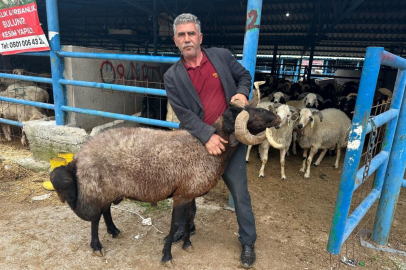 Bursa'daki kurbanlık pazarında hareketlilik
