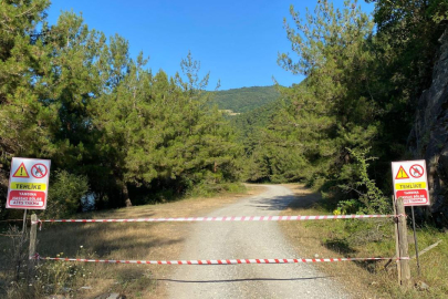 Ankara'da ormanlık alanlara girişler 30 Eylül'e kadar yasaklandı