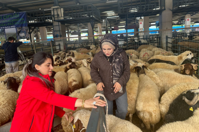Bursa'daki kurban pazarında rekabet arttı