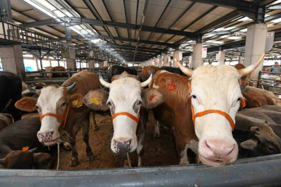 Mustafakemalpaşa’da kurban kesim noktaları açıklandı