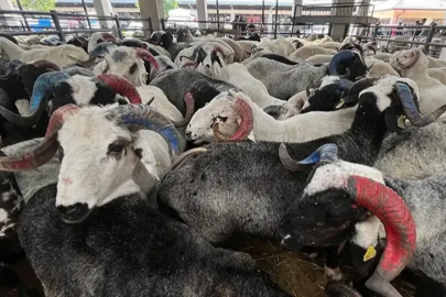 Nilüfer’de kurban kesim alanları açıklandı