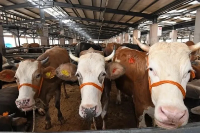 Osmangazi’de kurban kesim hazırlıkları tamamlandı: 25 nokta hizmet verecek