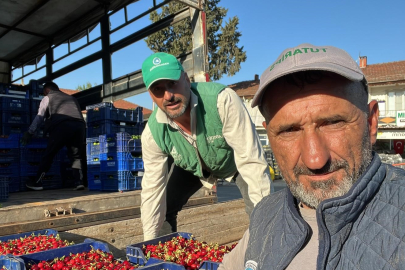 İznik’te mevsimin ilk karabodur kirazı hasadı başladı