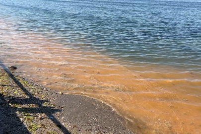 Mudanya'da müsilajdan sonra turuncu alarm