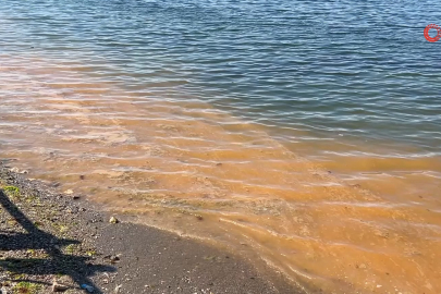 Mudanya'da müsilajdan sonra turuncu alarm