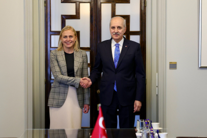 TBMM Başkanı Kurtulmuş, Finlandiya Dışişleri Bakanı Valtonen ile görüştü