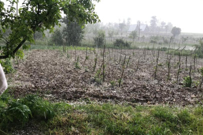 Bursa'da dolu… Keles'te tarım arazilerini dolu vurdu