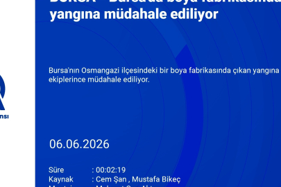 Bursa'da boya fabrikasında yangın