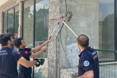 Bursa'da iş yerine giren yılan paniğe neden oldu