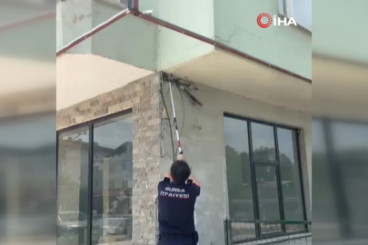 Bursa'da iş yerine giren yılan paniğe neden oldu
