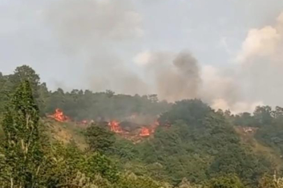 Bursa'da makilik alanda yangın