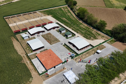Bursa’da örnek proje: Modern hayvan bakımevi hizmete girdi