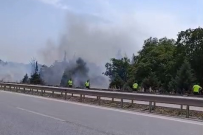 İzmir-Bursa kara yolunda yangın paniği