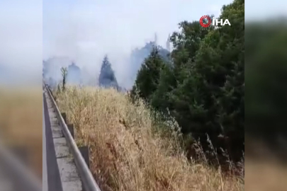 İzmir-Bursa kara yolunda yangın paniği