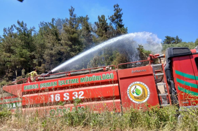 Bursa’da piknik alanı yakınındaki yangın korkuttu
