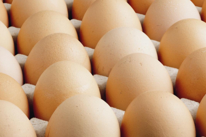 Avrupa'daki kuş gribi Türk yumurtasına talebi artırdı