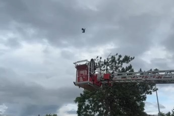 Karga kurtarılırken arkadaşları adeta kuşatma yaptı, saldırgan davranışlar sergiledi