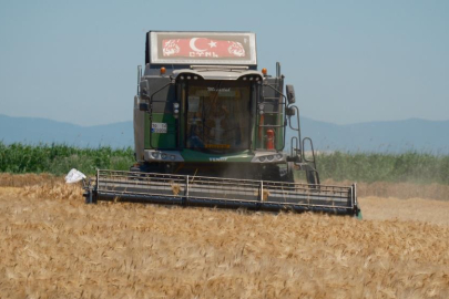 Üreticiye müjdeli haber: Fiyatları yarı yarıya geriledi