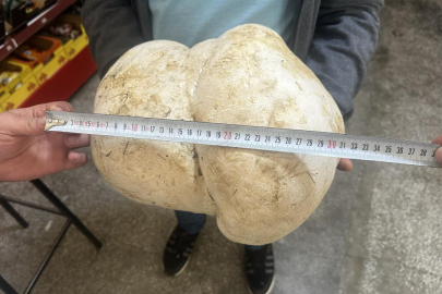 Bahçesinde 3 kilo 470 gram ağırlığında mantar buldu