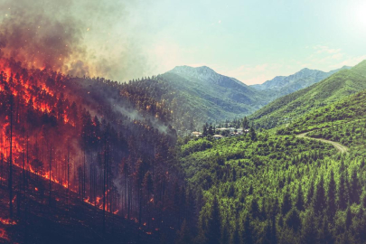 El Nino orman yangını riskini artırıyor